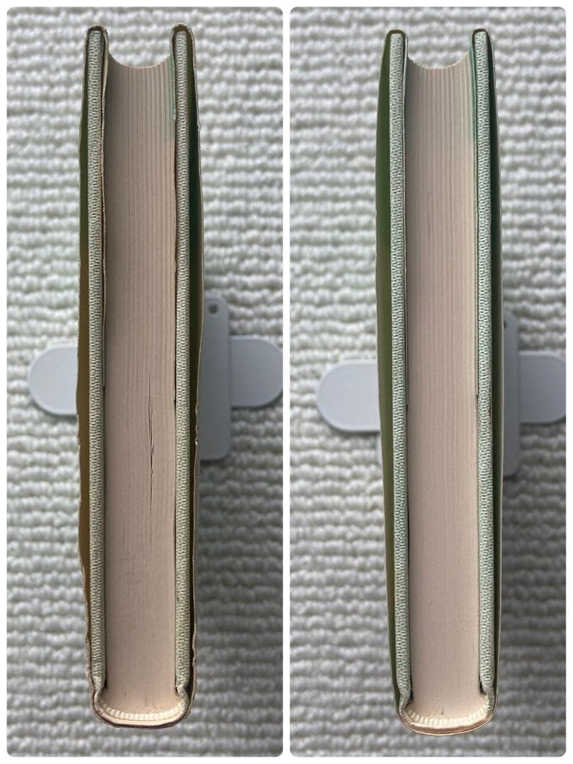 生命の大地に根を下ろし 親鸞の声を聞いた人たち/松本梶丸