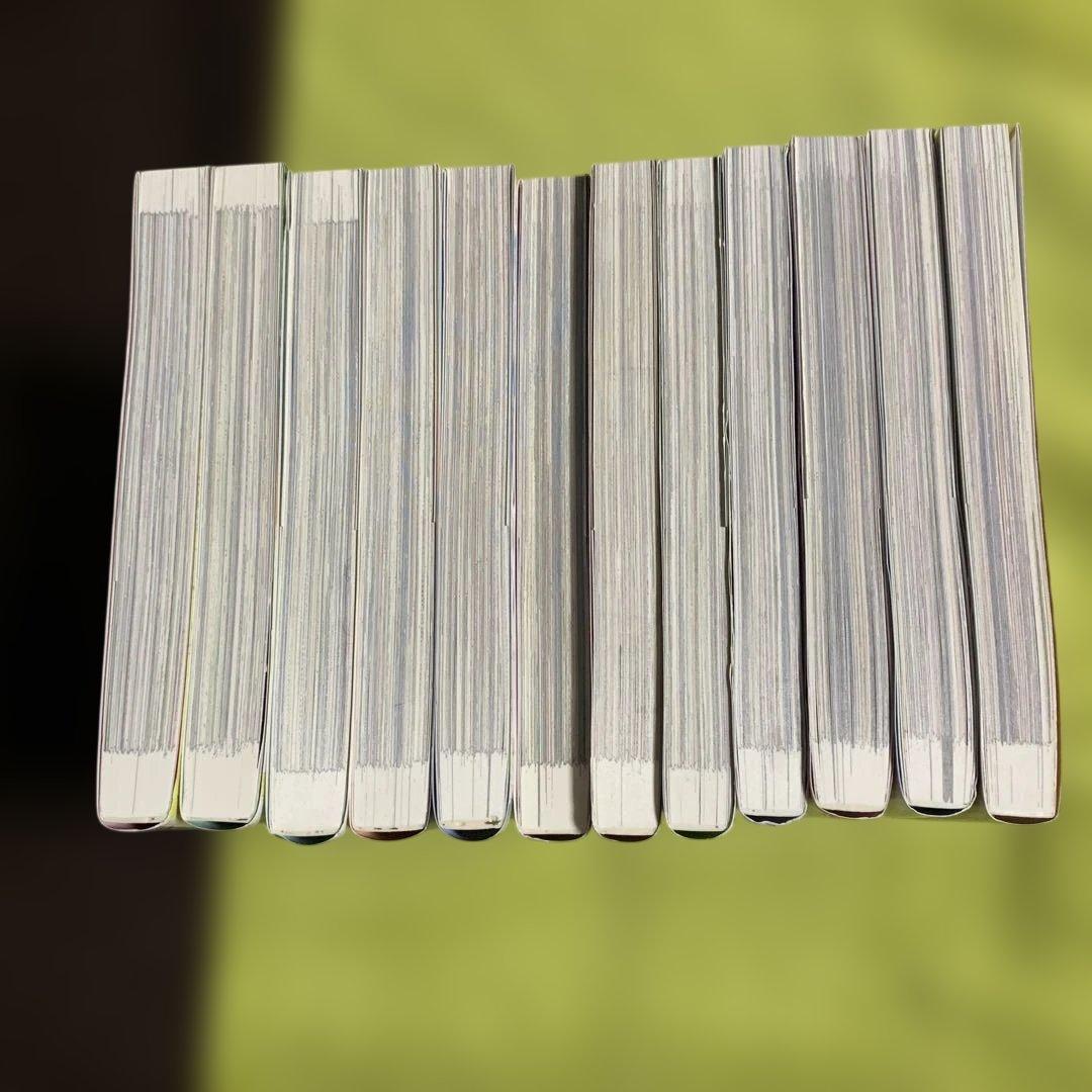 【特典付‼️】ある日、お姫様になってしまった件について 1巻〜12巻(既刊全巻)