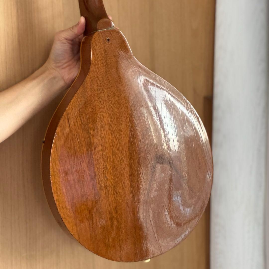 <超貴重特A>GibsonマンドリンA40-N 1940s ~1950s 超貴重特A>GibsonマンドリンA40-N 1940s ~1950s - メルカリ