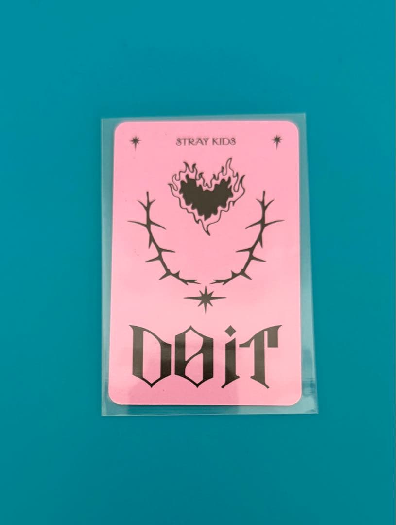 スキズ DO IT SPEAKER スピーカー 封入 トレカ チャンビン - メルカリ