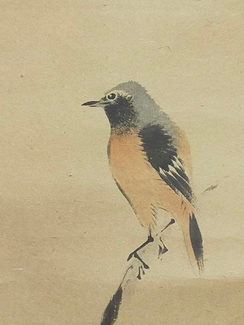 ♥掛軸 西尾楚江 ジャンク 掛け軸 骨董品 恵那市 - メルカリ