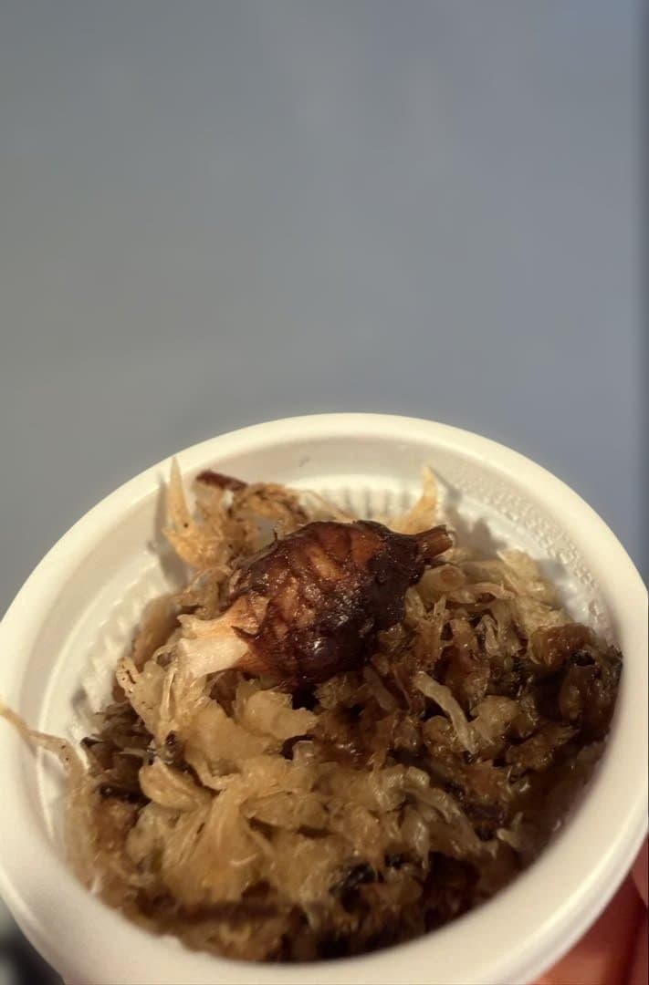 ラスト アロカシア アズラニー 斑入り 芋 ①番 - メルカリ