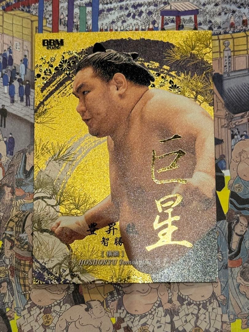 大相撲 BBM 2026 SUMO CARDS インサートカード　巨星　豊昇龍 BBM 2026 大相撲カード インサート 巨星 豊昇龍 智勝 50枚限定 - メルカリ