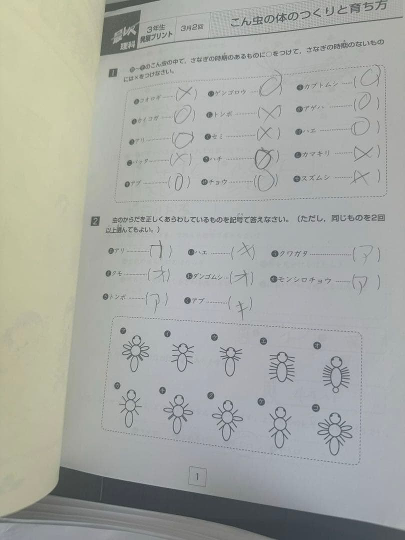 奨学社 小3 理科 1年分 しょうがく社 リビューテスト 実力テスト