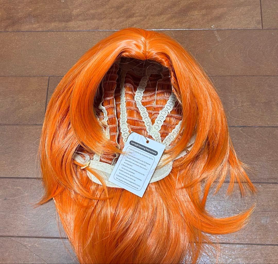 ディズニー ズートピア ニック・ワイルド 長髪 タイプB ウィッグ