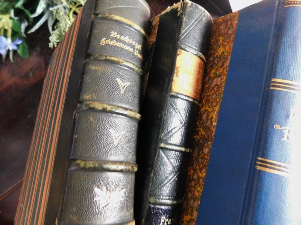 3冊セット.:*゜背表紙が素敵なドイツとチェコの古書 19－20世紀初頭