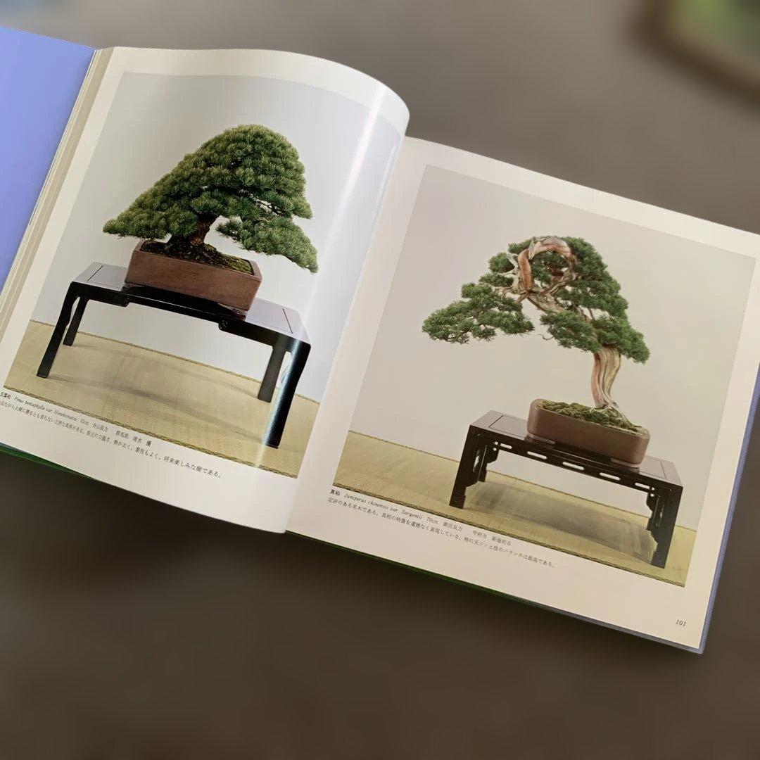 国風盆栽展 第60回 盆栽写真集 他 - メルカリ