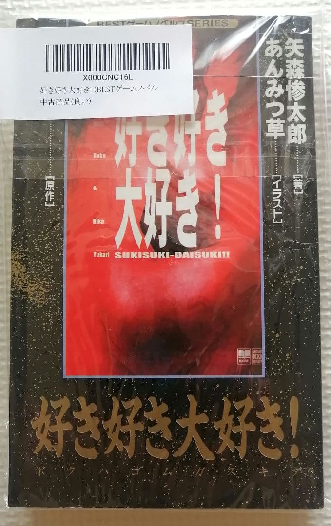 矢森惨太郎・13cm】好き好き大好き! 小説 - メルカリ