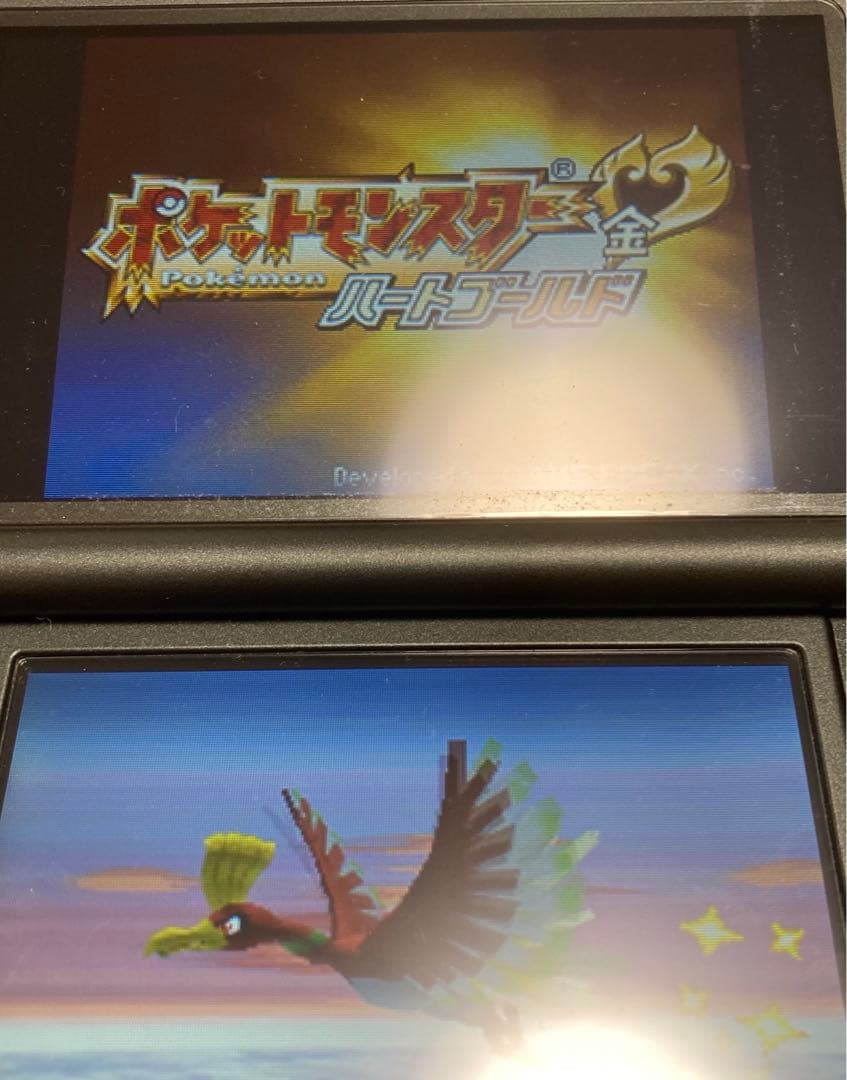ポケモン DS 3DS パール ブラック X サン ハートゴールド パルパーク