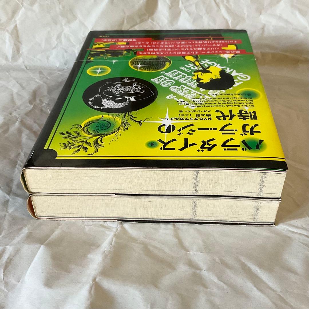 パラダイス・ガラージの時代 : NYCクラブカルチャー・光と影 上巻