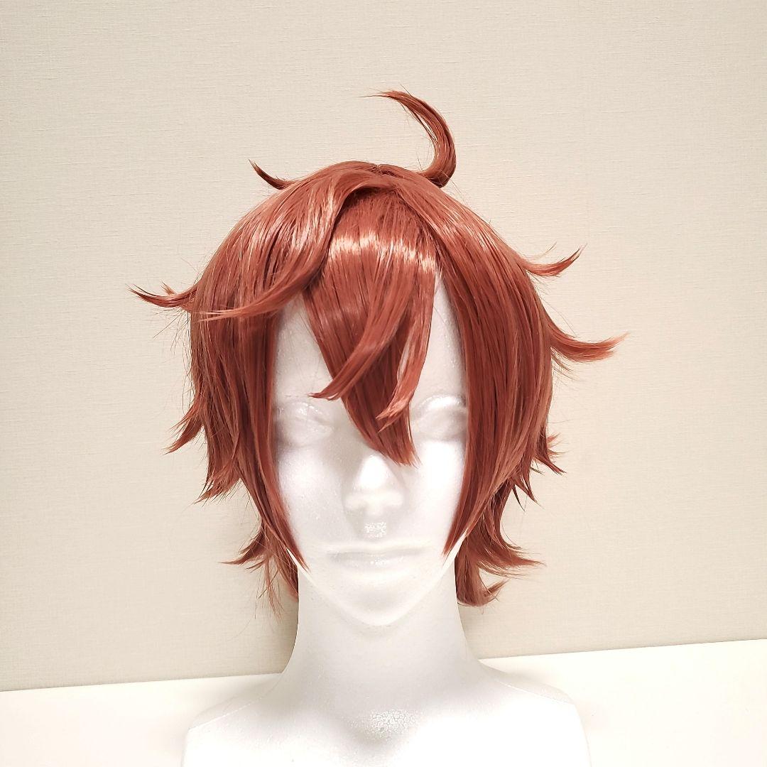 ツイステッドワンダーランド エース・トラッポラ コスプレ ウィッグ