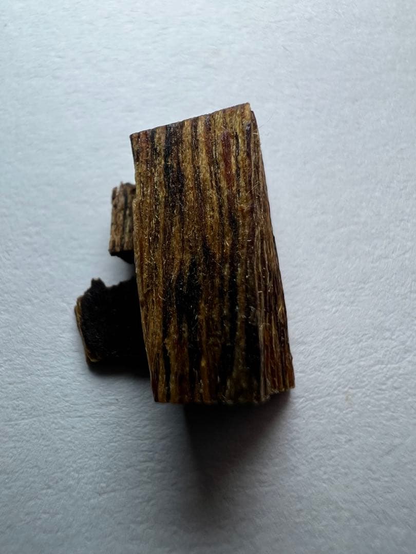 古渡命銘木 名香　酒井雅樂頭銘　伽羅　銘【文合】0.390g 香木/沈香/伽羅