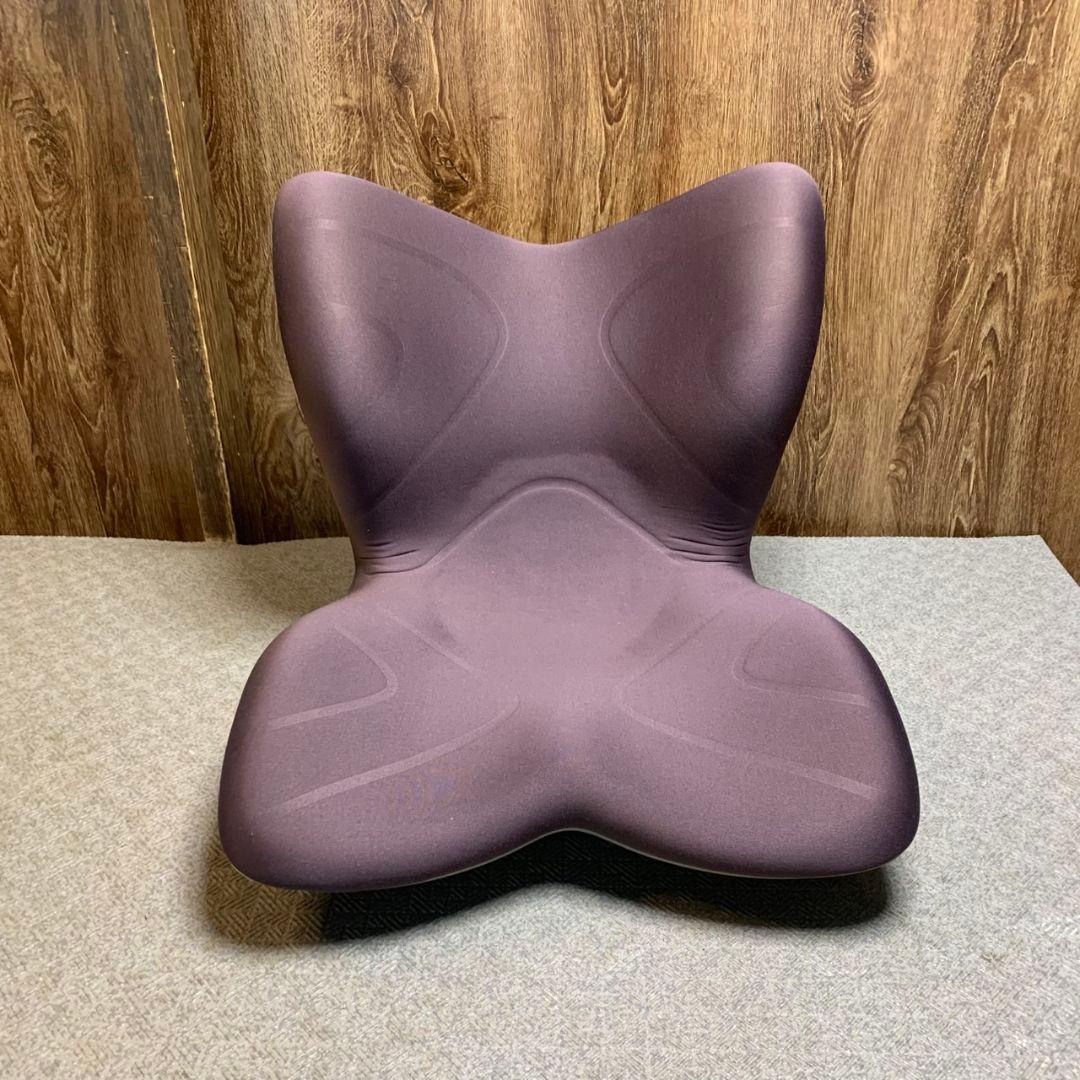 anny H875\" スタイルプレミアムMTG 姿勢矯正 骨盤サポート椅子 Amazon.co.jp: スタイル プレミアム シリーズ/Style PREMIUM Series