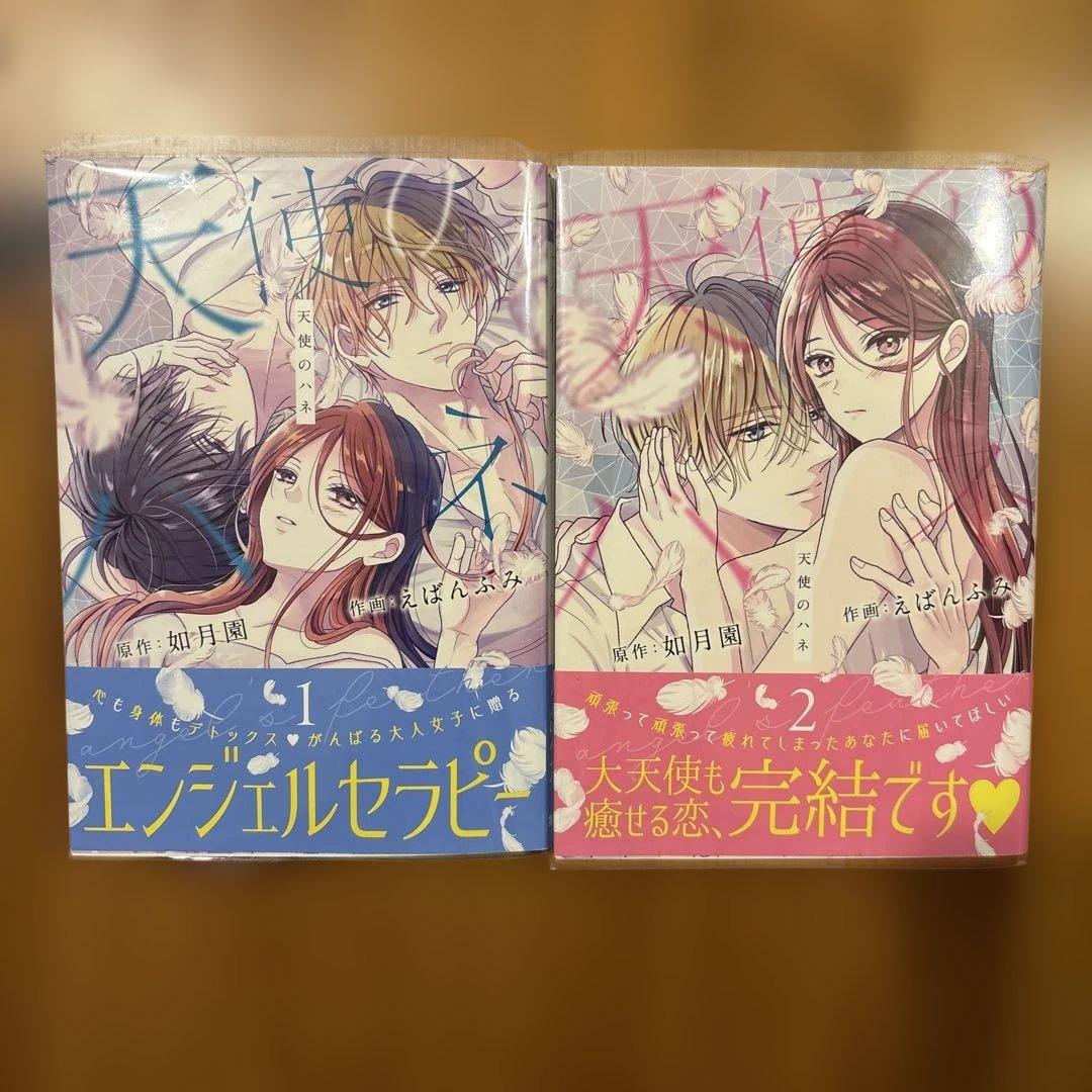 天使のハネ 全2巻 完結 - メルカリ