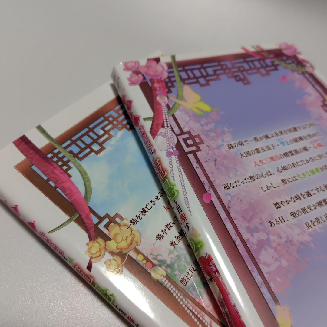 やり直し精霊姫は加護なし皇子の寵妃を目指す