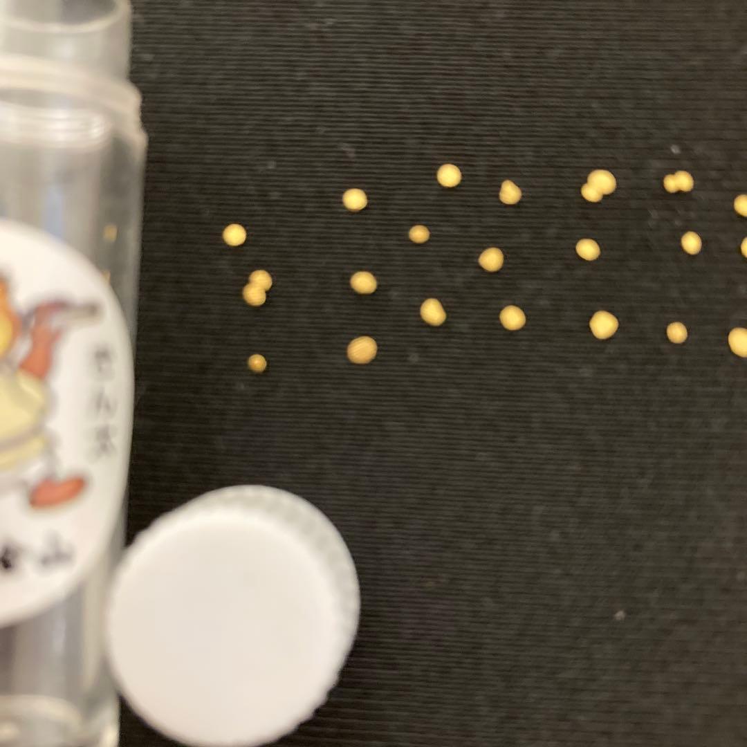 土肥金山 砂金 32粒（内3つは双子） 鉱石1粒 計33粒セット - メルカリ