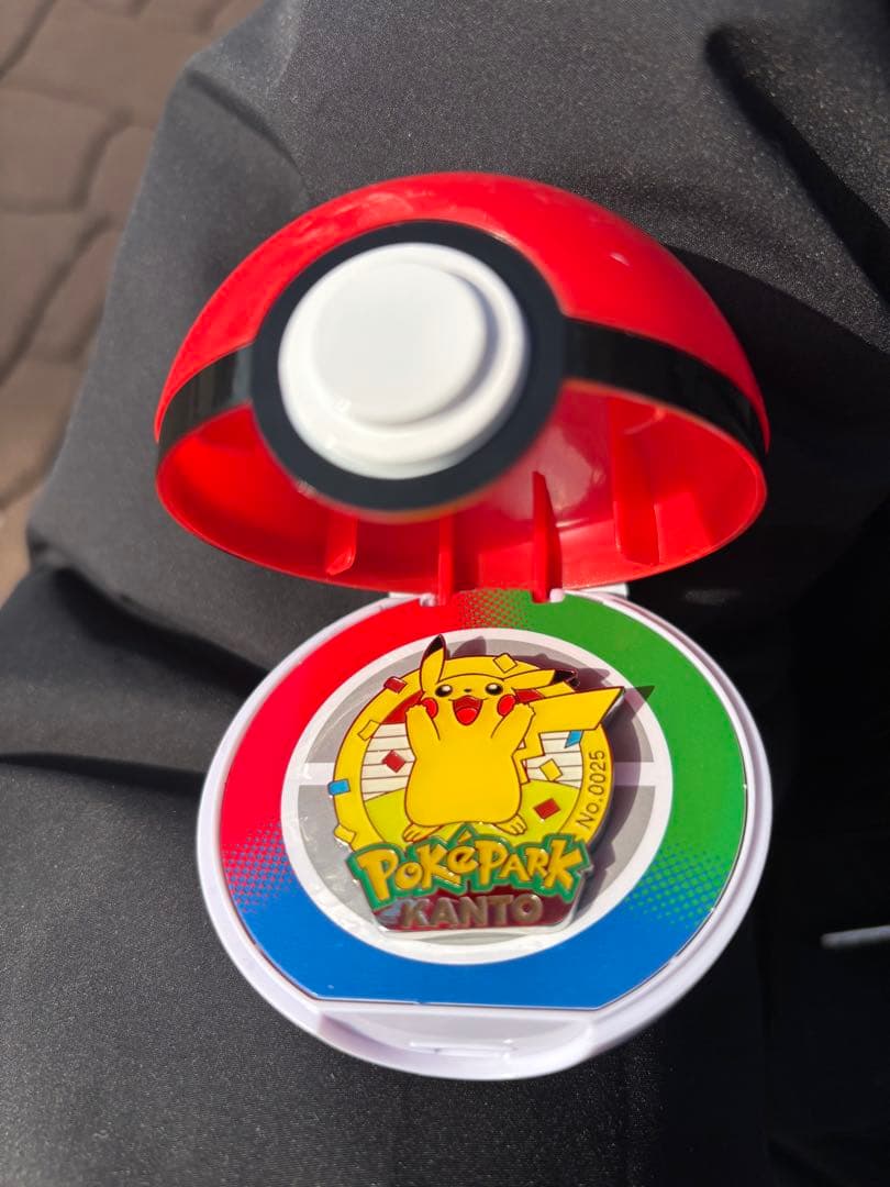 ポケパークカントー 0025 ピカチュウ ピンズ ポケモン ピンバッジ