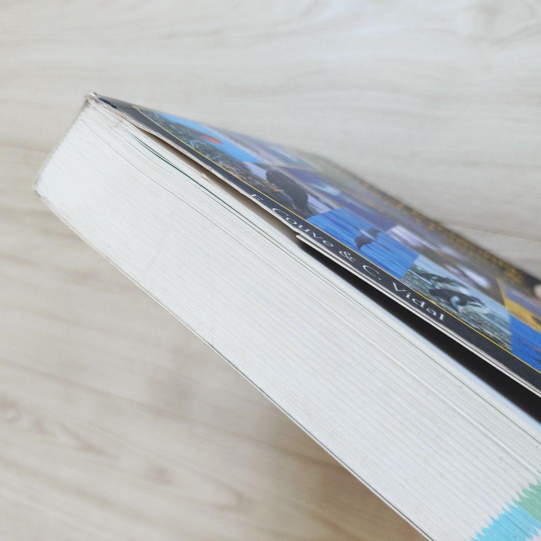 パタゴニア ティエラ・デル・フエゴ 南極半島の鳥 鳥類の写真ガイド