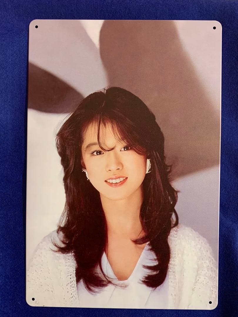 ◇中森明菜◇ポスター◇金属製ポスター◇30X20cm ◇少し印刷汚れ有り