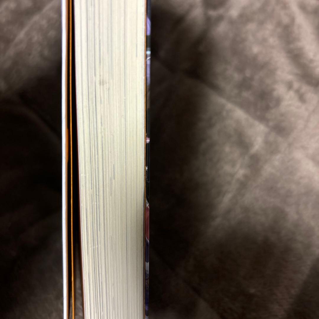 信じていた仲間達にダンジョン奥地で殺され 全巻 1-13巻 小説 全初版 希少