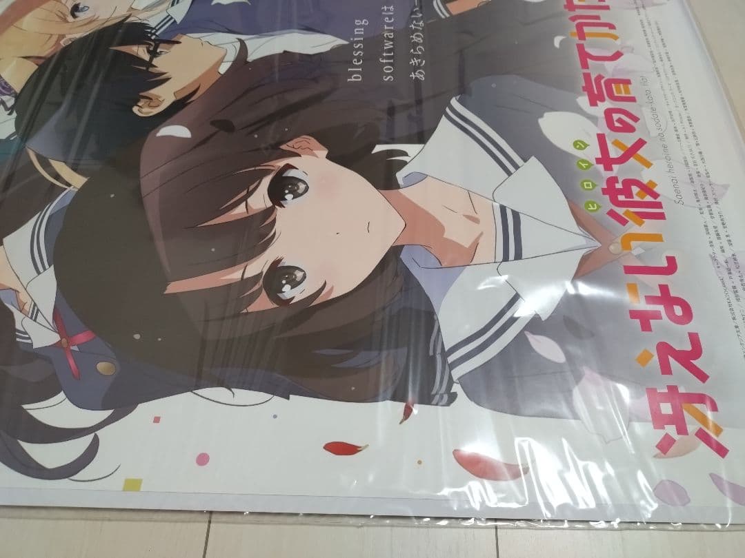 【非売品・未開封】テレビ放送告知ポスター　冴えない彼女の育てかた　公式　新品