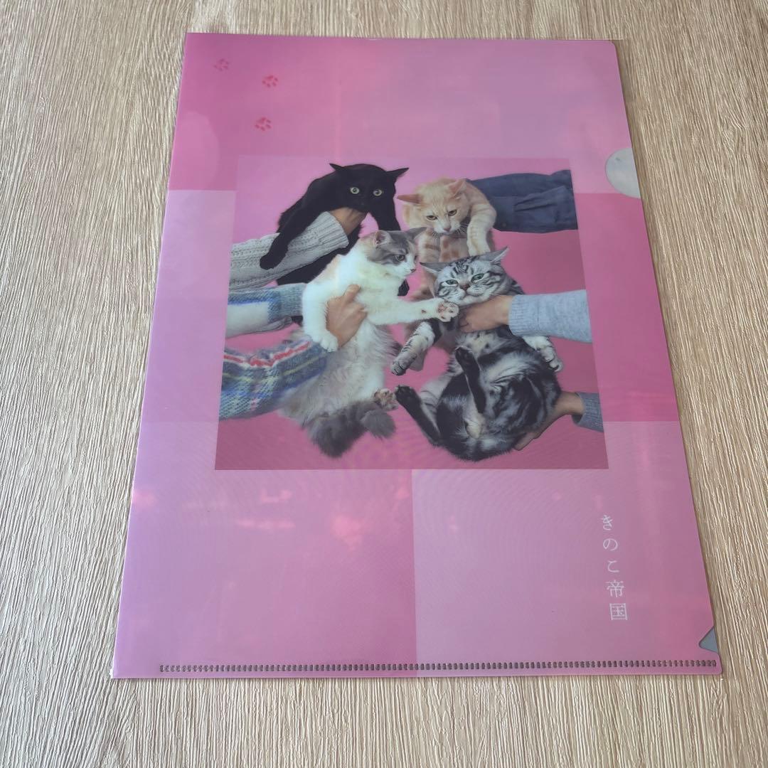 きのこ帝国 / アナログレコード 3枚セット - メルカリ