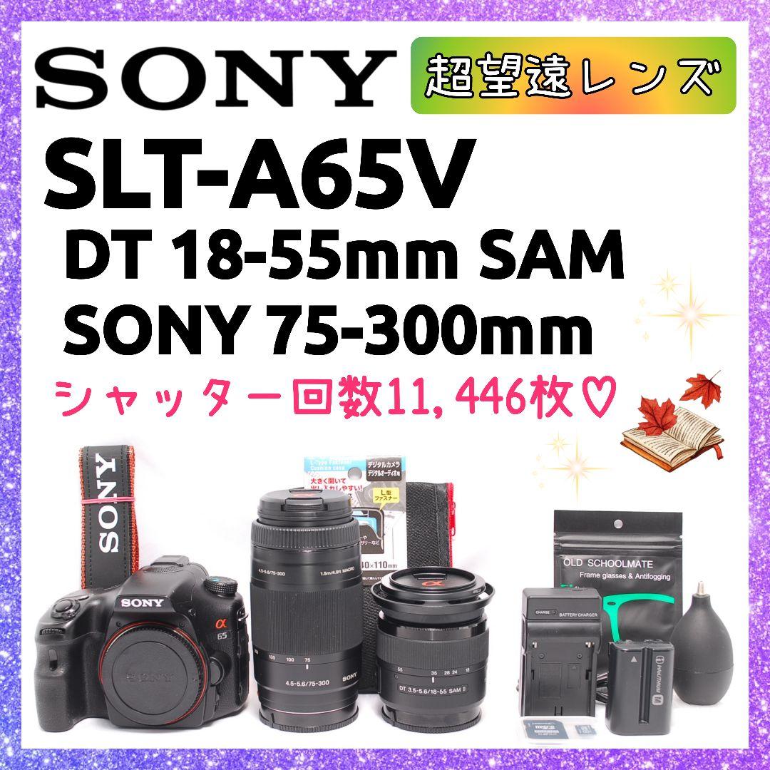 ❤即購入1000円OFF❤ ソニー α65 × 超望遠レンズ ダブルズーム Amazon | SONY ミラーレス一眼 α65 ダブルズームレンズキット DT 18