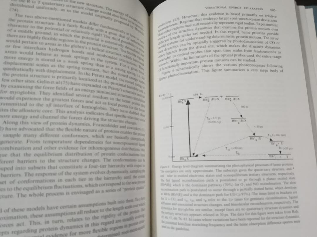 ANNU REV PHYS CHEM v42 1991 物理化学年次学術雑誌