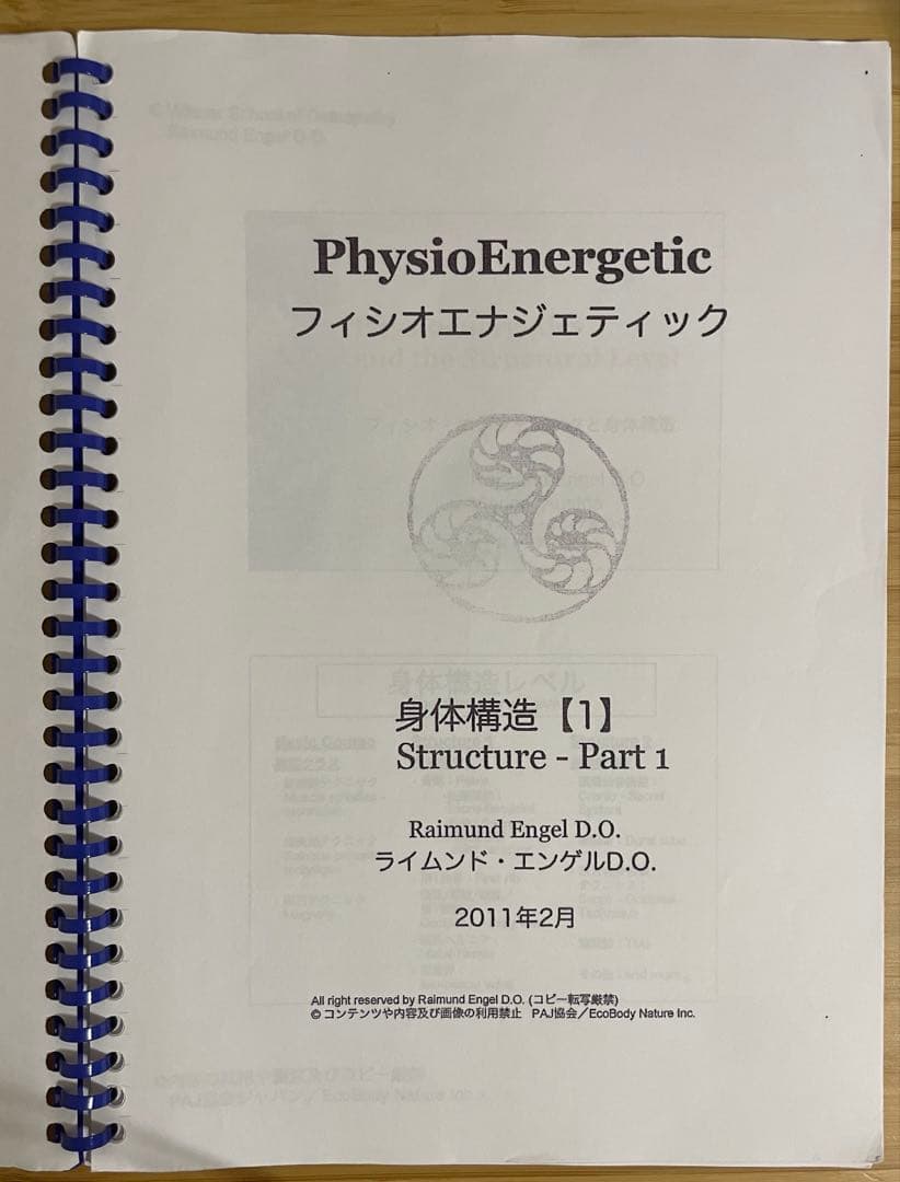 フィジオエナジェティック　身体構造① テキスト ソマティック・エナジェティクス