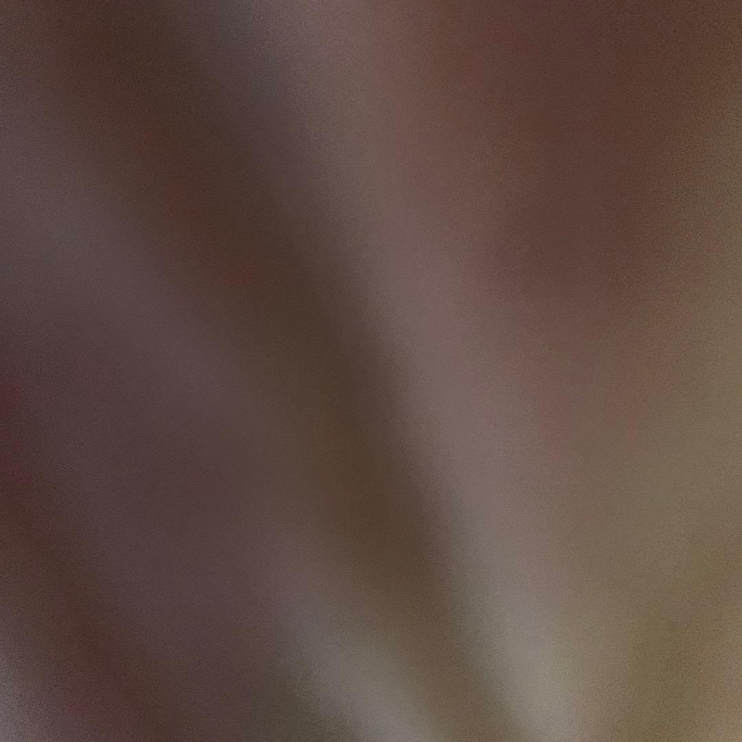 手数 ZX-6R(ZX636G) -since 2019- - バイクの系譜