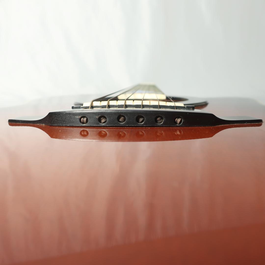 トルネード Z2 エレアコ レザーケース付 Morris Tornado ZⅡ www