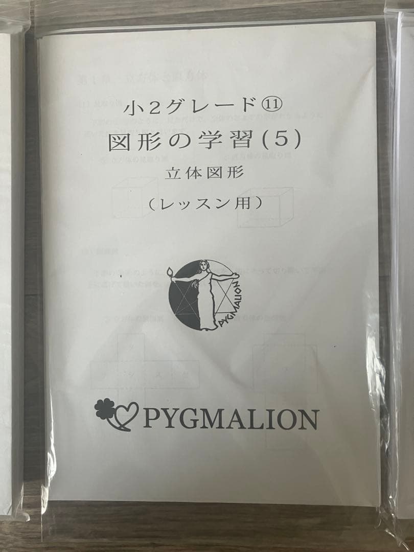 美品・袋入】ピグマリオン グレード別10冊セット 図形の学習 分数 整数