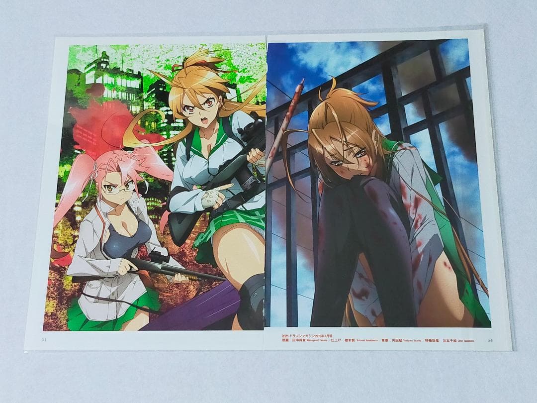 ハイスクールオブザデッド　額装飾　学園黙示録　漫画本＞カード＞ポスター＞その他