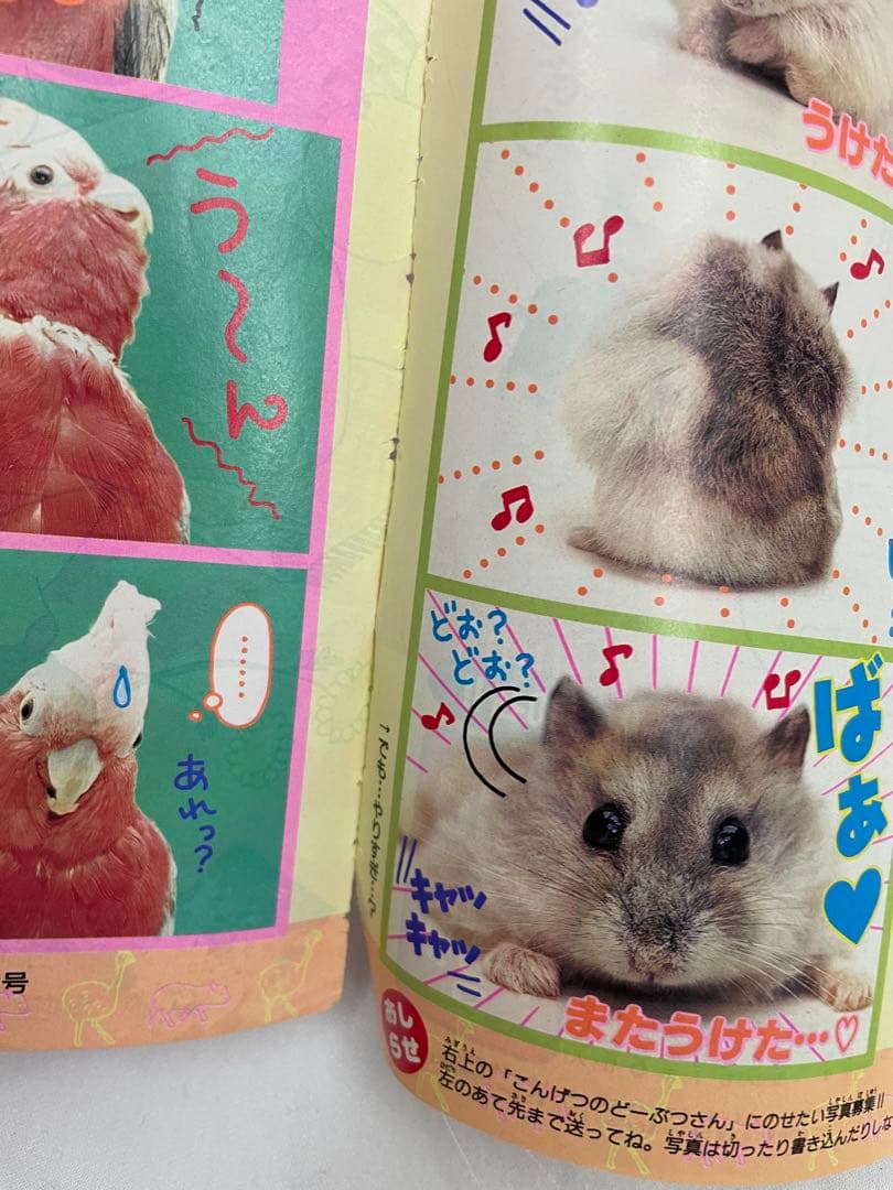 漫画 Pi Pi Piアドベンチャー ちゃお 切抜き 1999年 コダック - メルカリ