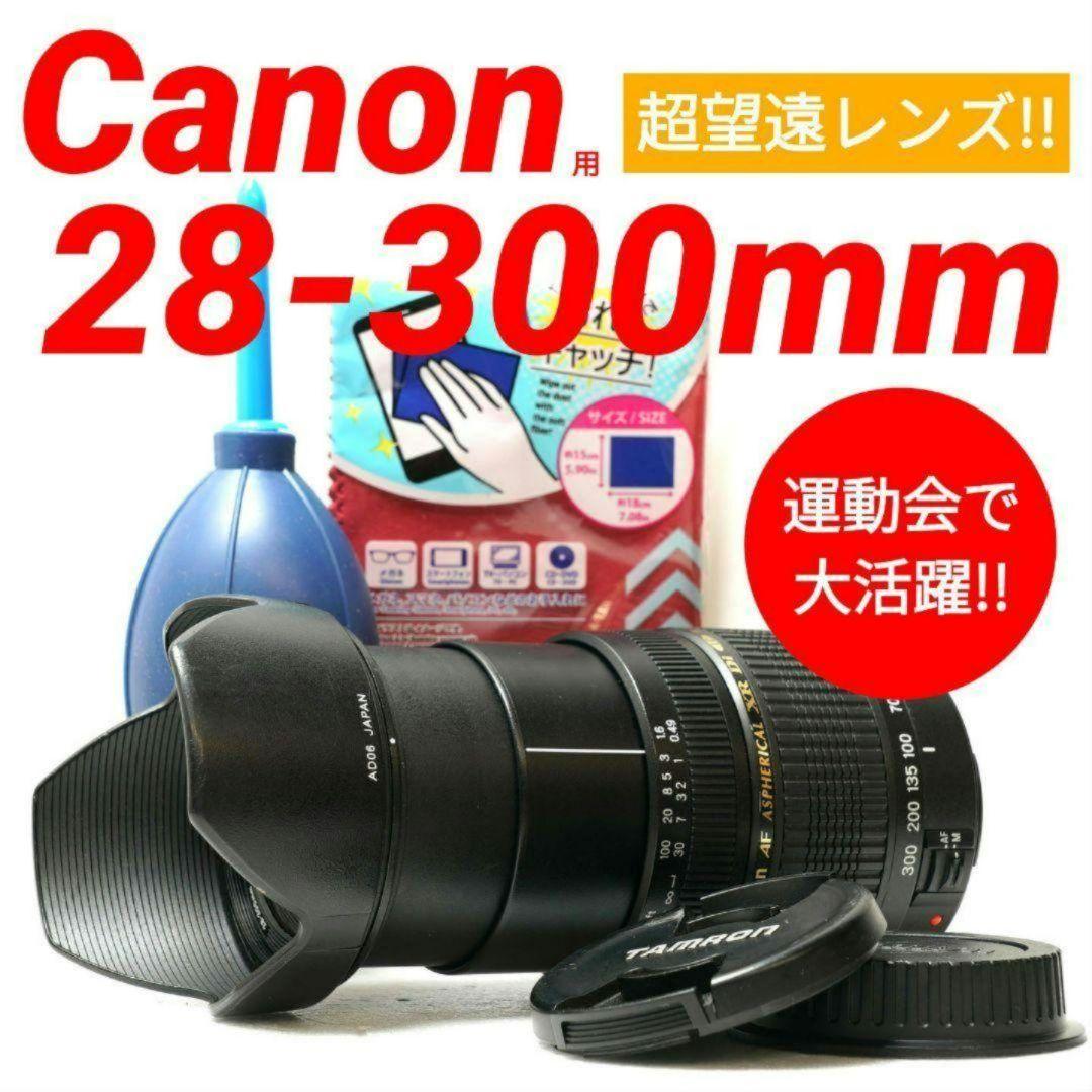 ✨美品✨TAMRON AF 28-300mm F3.5-6.3 EFマウント