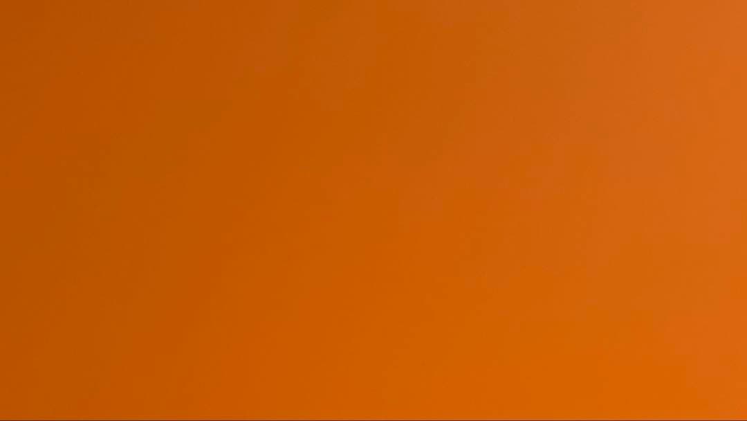 GANNI アニマルジャカード ミディドレス ガニー キャミワンピ 36サイズ