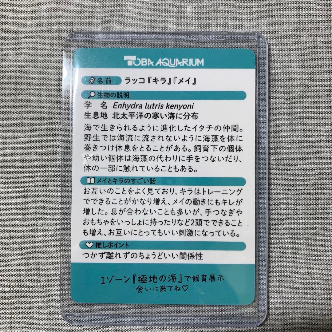鳥羽水族館 70周年記念コレカ レアカードメイ☆キラ - メルカリ