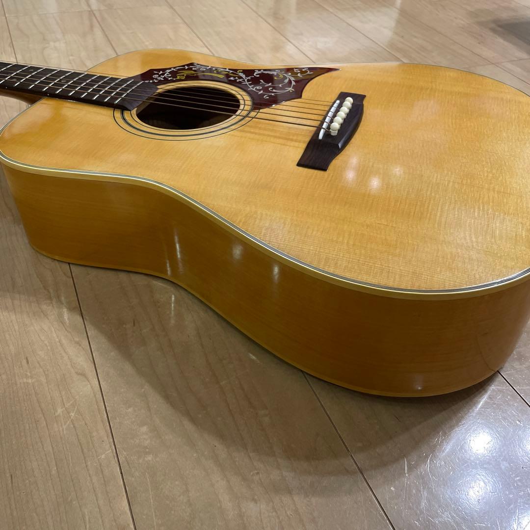 激レア roje 全音 ロジェ アコースティックギター ハミングバード