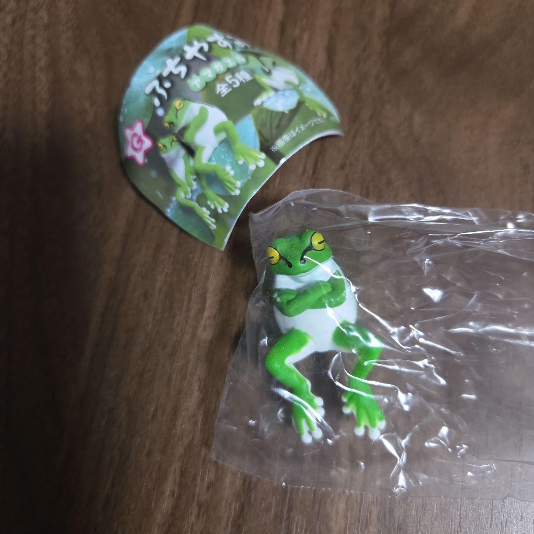 ふちやすみ アマガエル うでぐみ - メルカリ