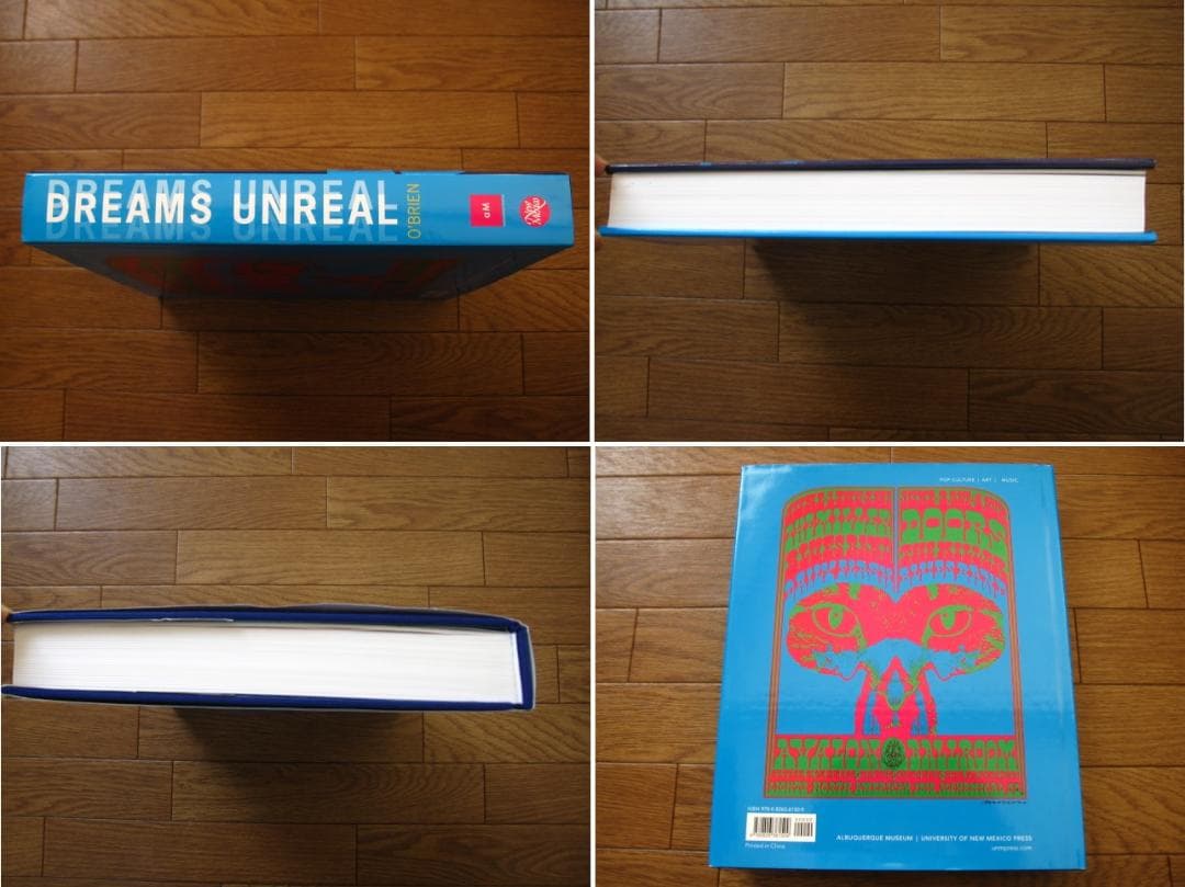 Dreams Unreal / Titus Obrien　Hardcover