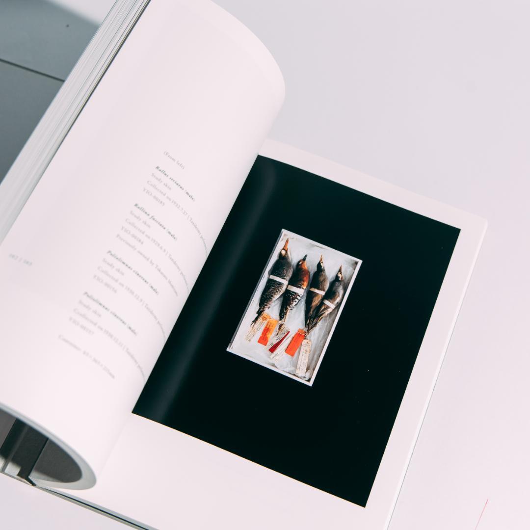 希少本 BIOSOPHIA of BIRDS : 上田義彦 原研哉 - メルカリ