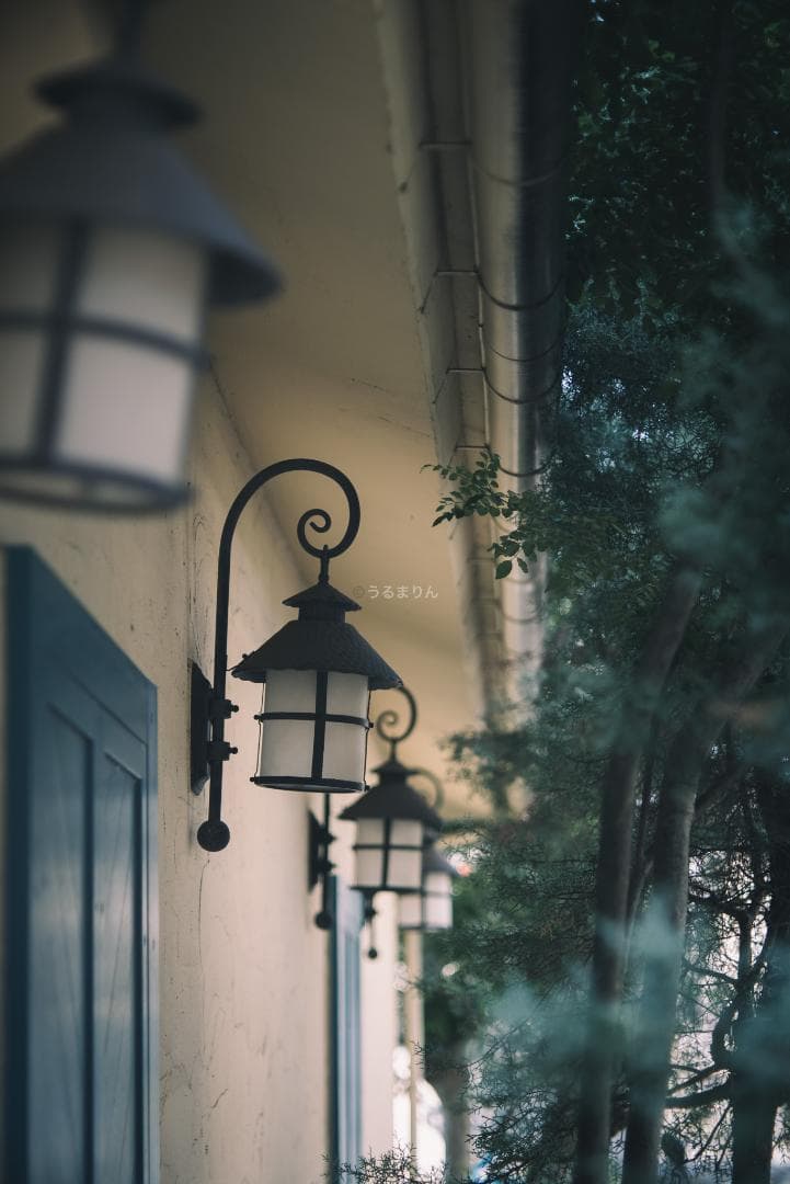 木村文乃使用モデル！Leica Elmarit 90mm F2.8オールドレンズ - メルカリ