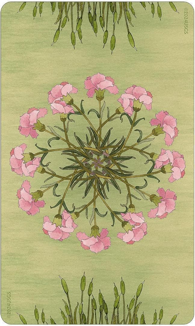 正規品オラクルカード】内なる子供に語り掛ける愛らしい動物の仲間たち