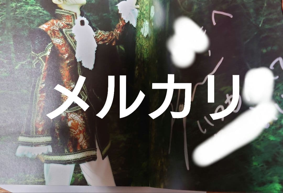 LAREINE パンフレット コメントサイン入り KAMIJO - メルカリ