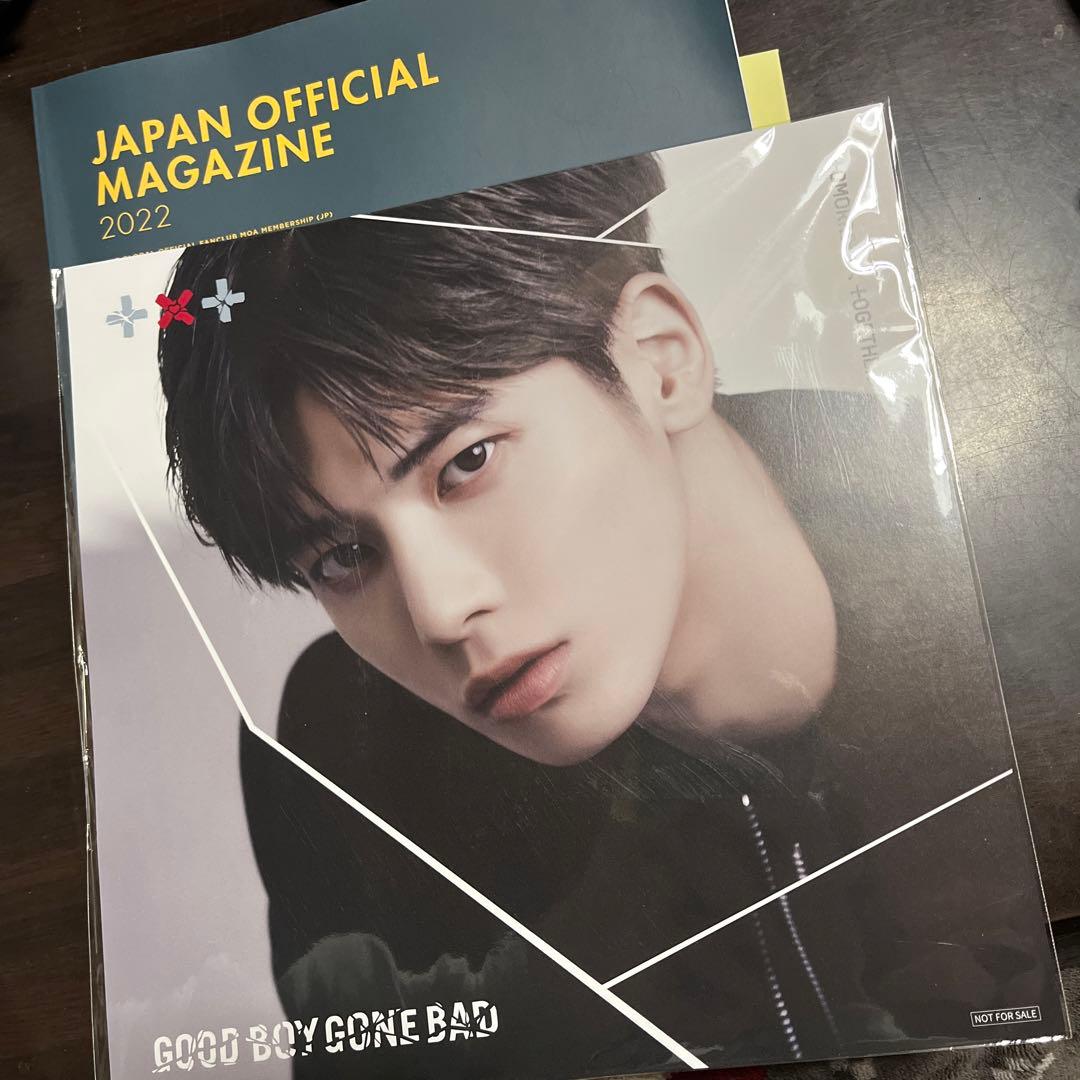 TXT ペンライト うちわ メモリーズ シーグリ デコキット アルバム