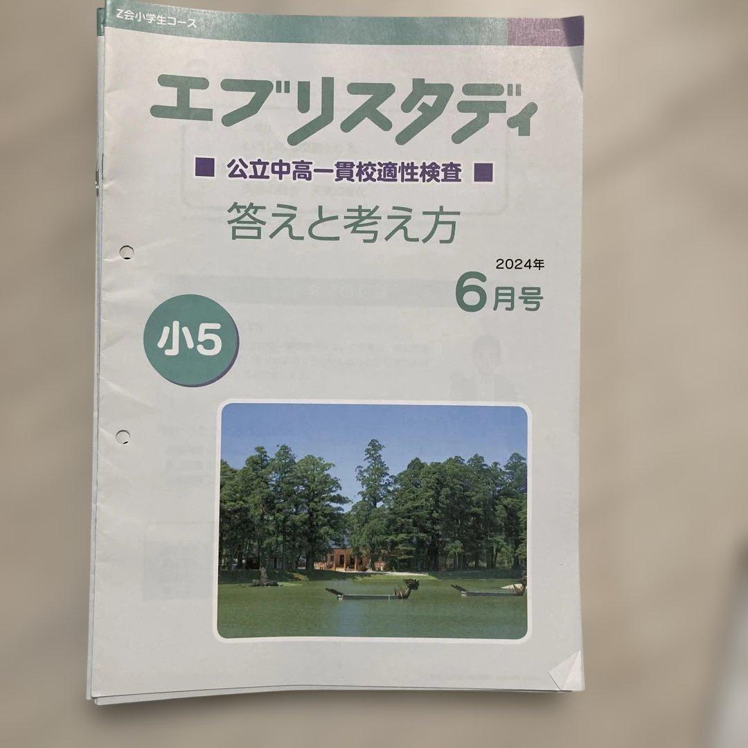 Z会 公立中高一貫適性検査 エブリスタディ 2024年 小5 - メルカリ