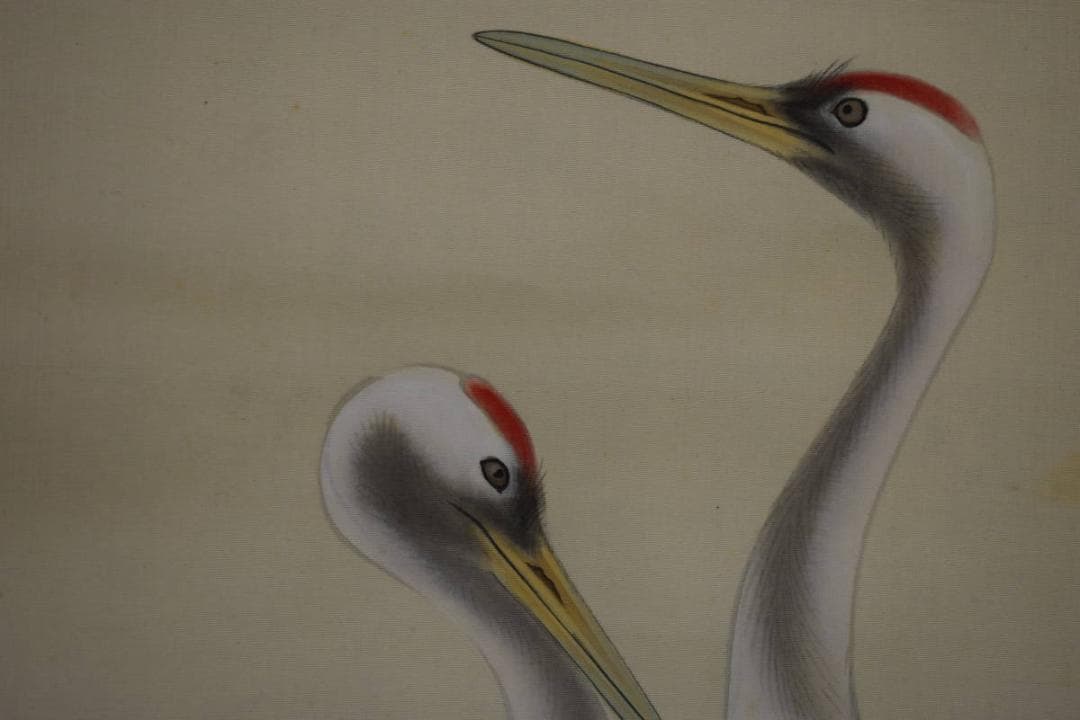 真作/光峰/松下双鶴図/桐共箱付/布袋屋掛軸HF-622 - メルカリ