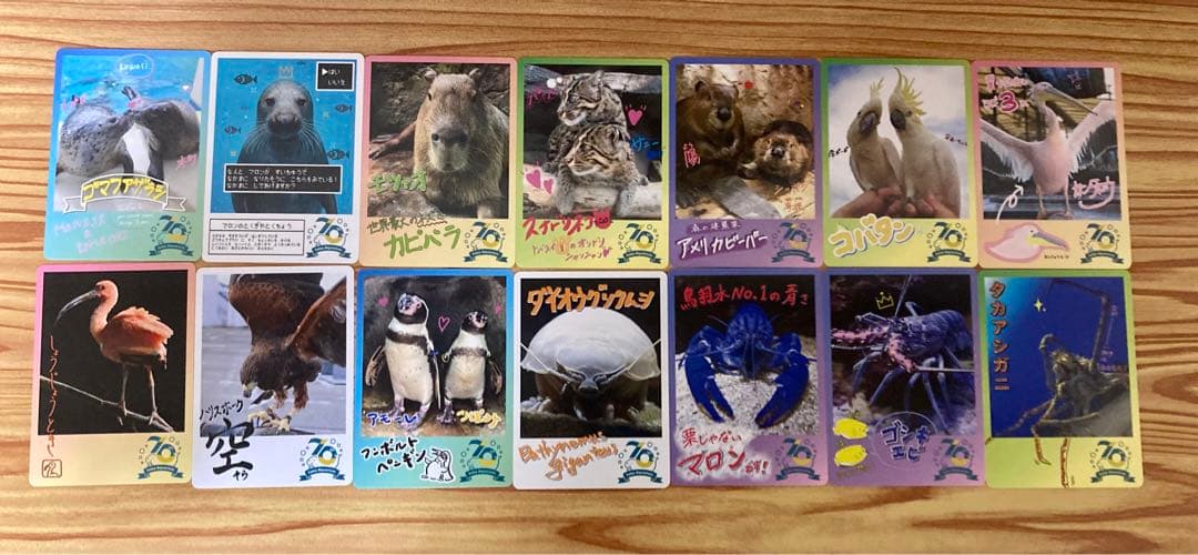 鳥羽水族館70周年記念コレクションカード72種 コンプリートセット