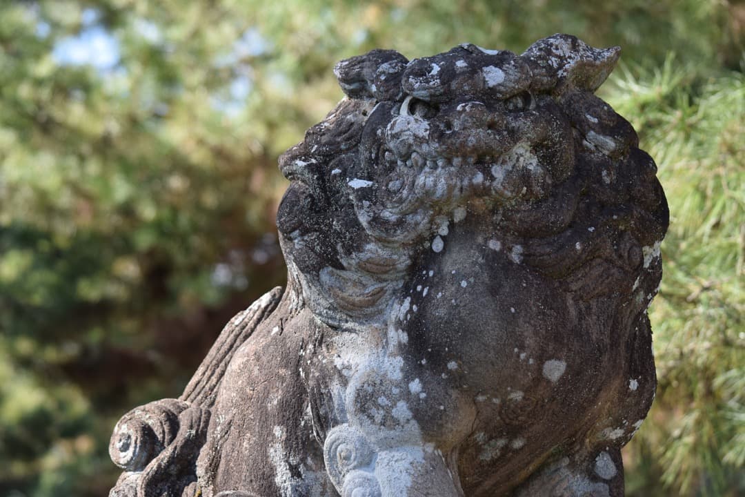 レンズ(ズーム) Nikon DX AF-S 55-300mm f4.5-5.6 G ED VR