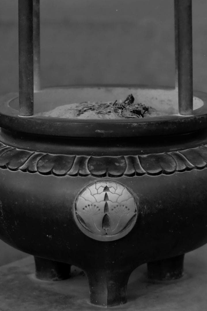 Leica Visoflexはじめるセット！ライカのカメラとオールドレンズ一式